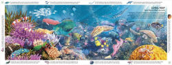Alternative view 2 of Habitats of the World