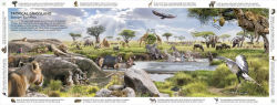Alternative view 3 of Habitats of the World