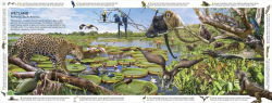 Alternative view 4 of Habitats of the World