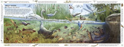 Alternative view 5 of Habitats of the World