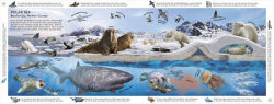 Alternative view 6 of Habitats of the World