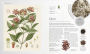 Alternative view 3 of The Herb Book: The Stories, Science, and History of Herbs