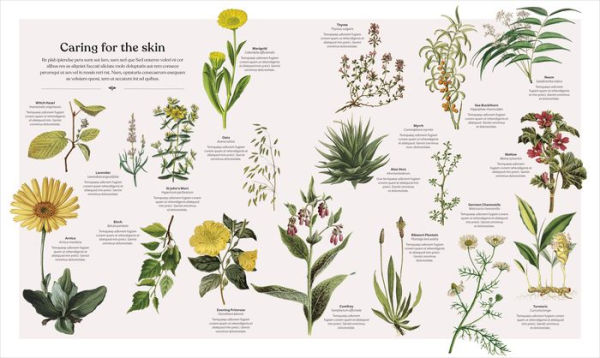 The Herb Book: The Stories, Science, and History of Herbs