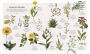 Alternative view 4 of The Herb Book: The Stories, Science, and History of Herbs