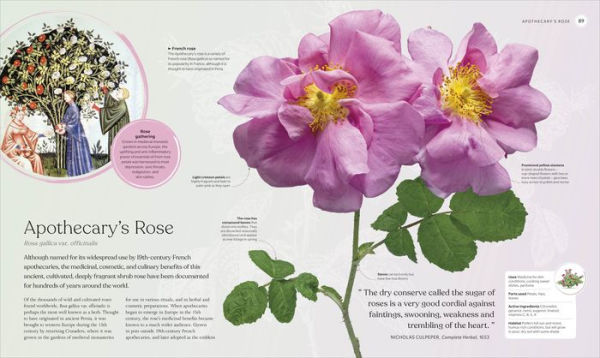 The Herb Book: Stories, Science, and History of Herbs