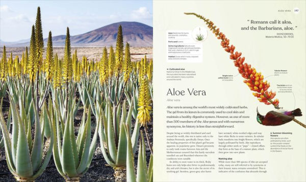 The Herb Book: Stories, Science, and History of Herbs