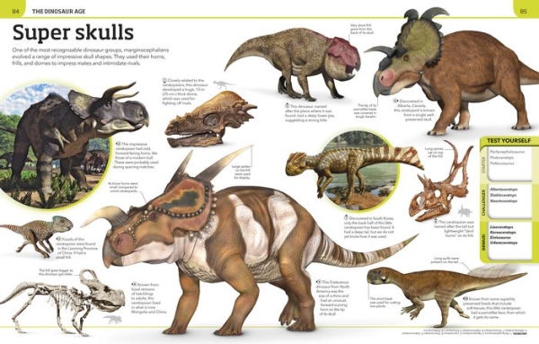 Dinosaur Knowledge Genius: A Quiz Encyclopedia to Boost Your Brain