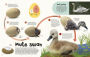 Alternative view 3 of The Egg Book: See How Baby Animals Hatch, Step By Step!