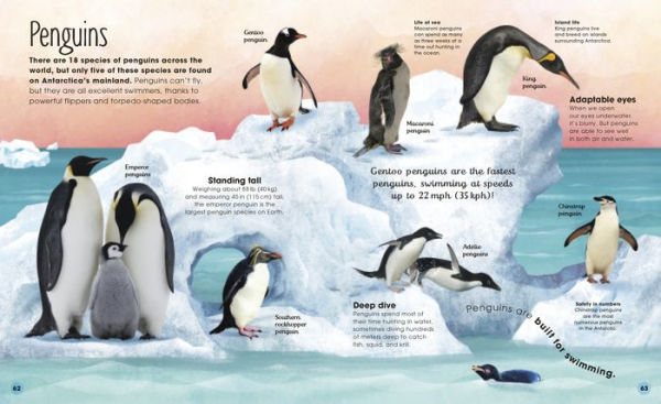 the Frozen Worlds: Astonishing Nature of Arctic and Antarctic