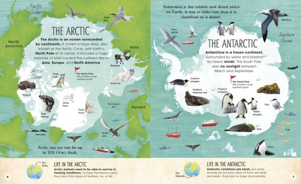 the Frozen Worlds: Astonishing Nature of Arctic and Antarctic