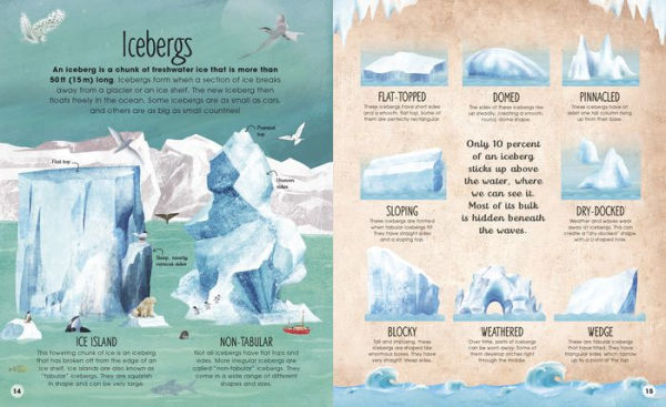 the Frozen Worlds: Astonishing Nature of Arctic and Antarctic