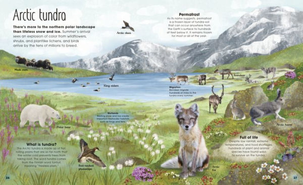 the Frozen Worlds: Astonishing Nature of Arctic and Antarctic