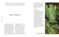 Alternative view 3 of Not Another Jungle: Comprehensive Care for Extraordinary Houseplants