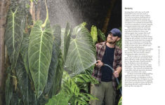 Alternative view 5 of Not Another Jungle: Comprehensive Care for Extraordinary Houseplants