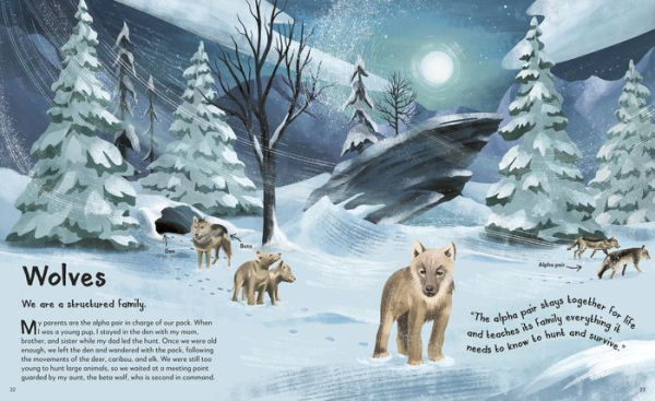 My Animal Family: Meet the Different Families of Kingdom