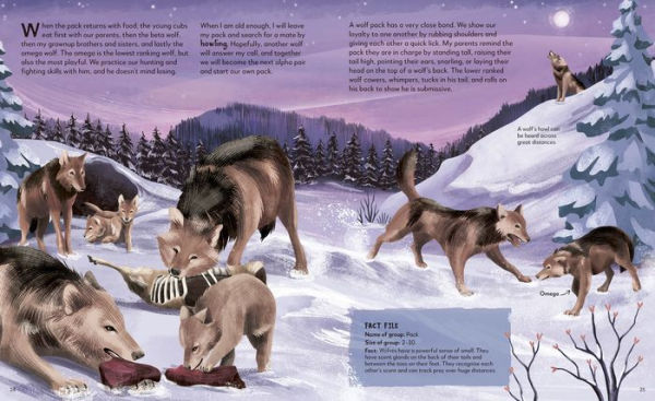 My Animal Family: Meet the Different Families of Kingdom