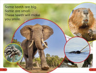 Alternative view 2 of DK Super Readers Pre-Level Chomp! Big Teeth