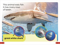 Alternative view 3 of DK Super Readers Pre-Level Chomp! Big Teeth