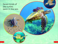 Alternative view 2 of DK Super Readers Pre-Level Save the Sea Turtles