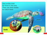 Alternative view 3 of DK Super Readers Pre-Level Save the Sea Turtles