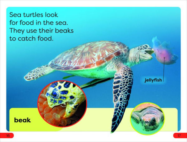 DK Super Readers Pre-Level Save the Sea Turtles