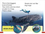 Alternative view 4 of DK Super Readers Pre-Level Little Sharks Big Sharks