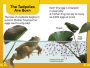 Alternative view 3 of DK Super Readers Level 2 Tale of a Tadpole