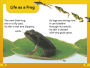 Alternative view 4 of DK Super Readers Level 2 Tale of a Tadpole