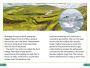 Alternative view 4 of DK Super Readers Level 3 Save the Climate