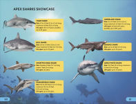 Alternative view 4 of DK Super Readers Level 4 Shark: Apex Predator