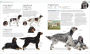 Alternative view 8 of The Dog Encyclopedia