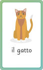 Alternative view 2 of Italian for Everyone Junior First Words Flash Cards