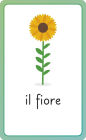 Alternative view 4 of Italian for Everyone Junior First Words Flash Cards