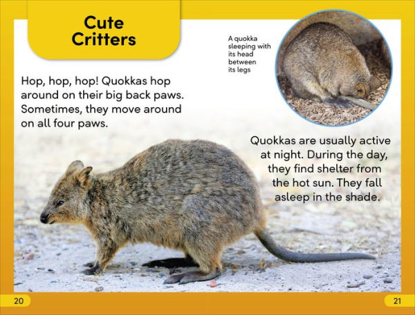 DK Super Readers Level 2 Quokkas