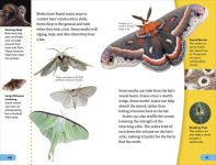 Alternative view 4 of DK Super Readers Level 4 Predator and Prey