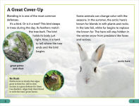 Alternative view 3 of DK Super Readers Level 3 Animal Defenses