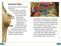 Alternative view 4 of DK Super Readers Level 3 Animal Defenses