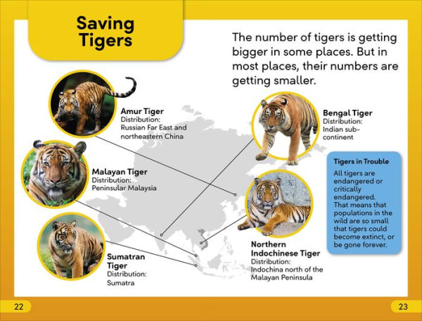 DK Super Readers Level 2 Save the Tigers