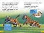 Alternative view 4 of DK Super Readers Level 2 Save the Tigers