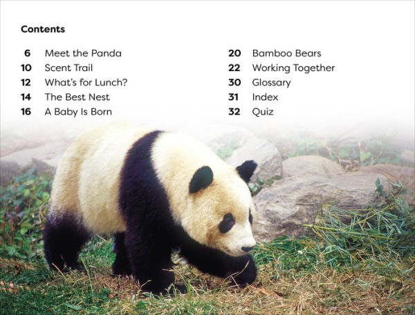 DK Super Readers Level 1 Save the Pandas