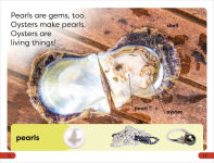 Alternative view 3 of DK Super Readers Pre-Level Sparkly Gems