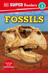 Alternative view 1 of DK Super Readers Level 3 Fossils