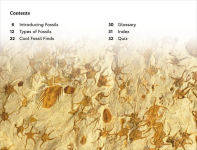 Alternative view 2 of DK Super Readers Level 3 Fossils