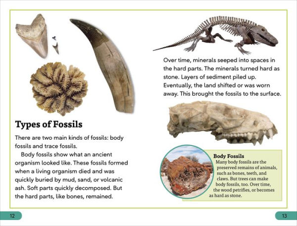 DK Super Readers Level 3 Fossils