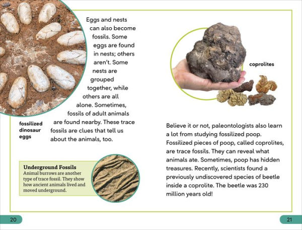 DK Super Readers Level 3 Fossils