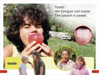 Alternative view 4 of DK Super Readers Pre-Level Five Senses