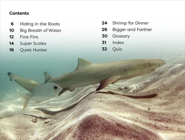 DK Super Readers Level 1 Life of a Baby Lemon Shark