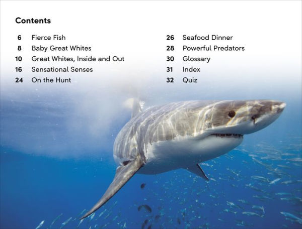 DK Super Readers Level 2 Great White Sharks