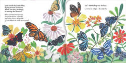 Alternative view 2 of Bilingual Pop-Up Peekaboo! Butterfly - La mariposa