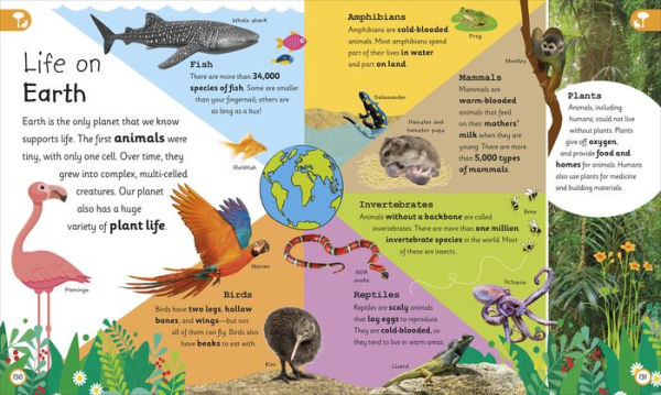 My Very Important Earth Encyclopedia: For Little Learners Who Want to Know Our Planet